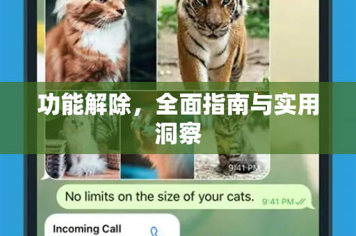 功能解除，全面指南与实用洞察
