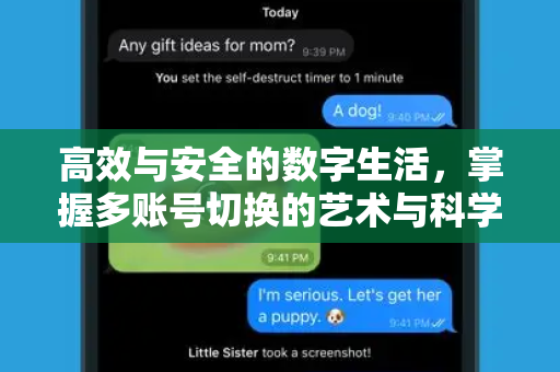 高效与安全的数字生活，掌握多账号切换的艺术与科学