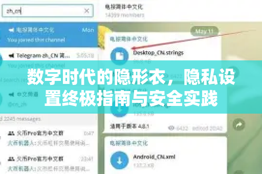 数字时代的隐形衣，隐私设置终极指南与安全实践
