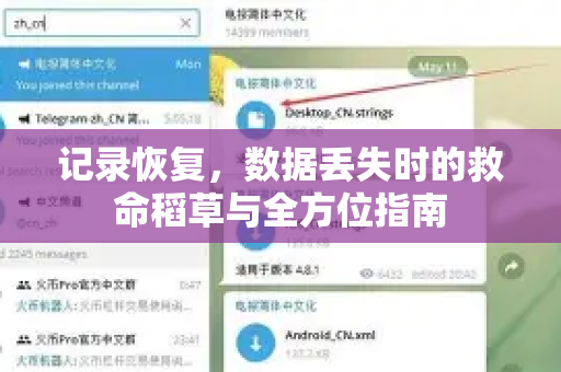 记录恢复，数据丢失时的救命稻草与全方位指南