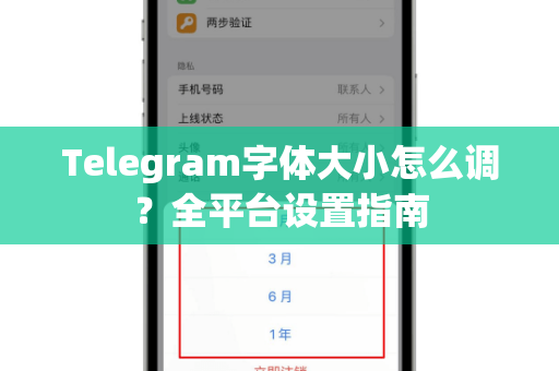 Telegram字体大小怎么调？全平台设置指南