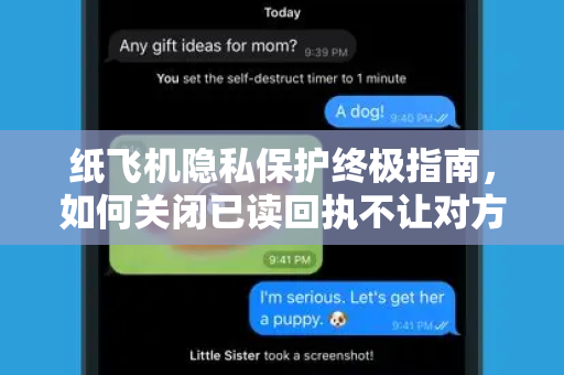 纸飞机隐私保护终极指南，如何关闭已读回执不让对方察觉