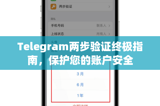 Telegram两步验证终极指南，保护您的账户安全