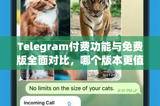 Telegram付费功能与免费版全面对比,哪个版本更值得选择?-第1张图片-TG下载-Android版 - Telegram官网 Telegram付费功能与免费版全面对比,哪个版本更值得选择?-第1张图片-TG下载-Android版 - Telegram官网